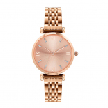 时光一百(TIME100) 手表女轻奢时尚复古简约女表罗马刻度小钻石圆盘钢带商务通勤百搭石英女士手表W80317L玫瑰金色